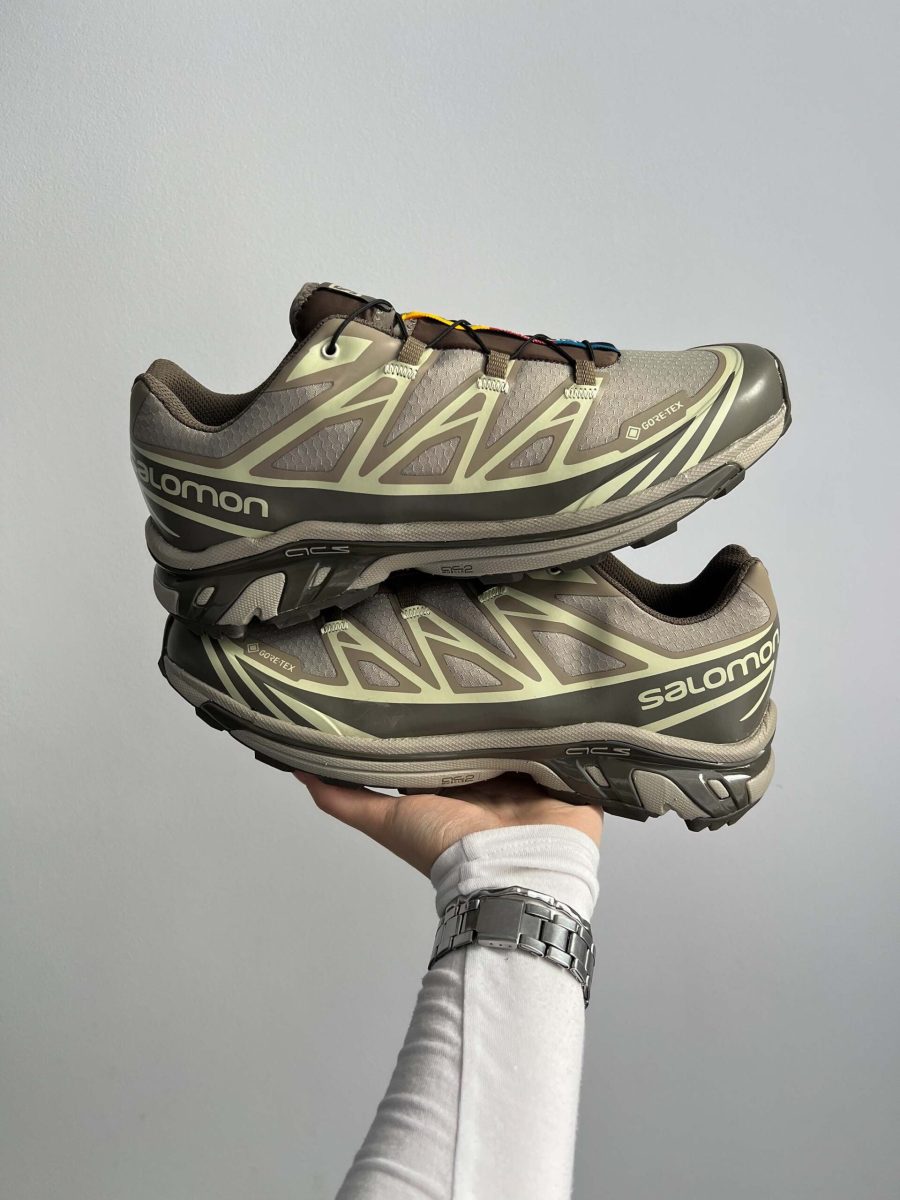 Кросівки Salomon XT-6 Gore-Tex Vintage Khaki