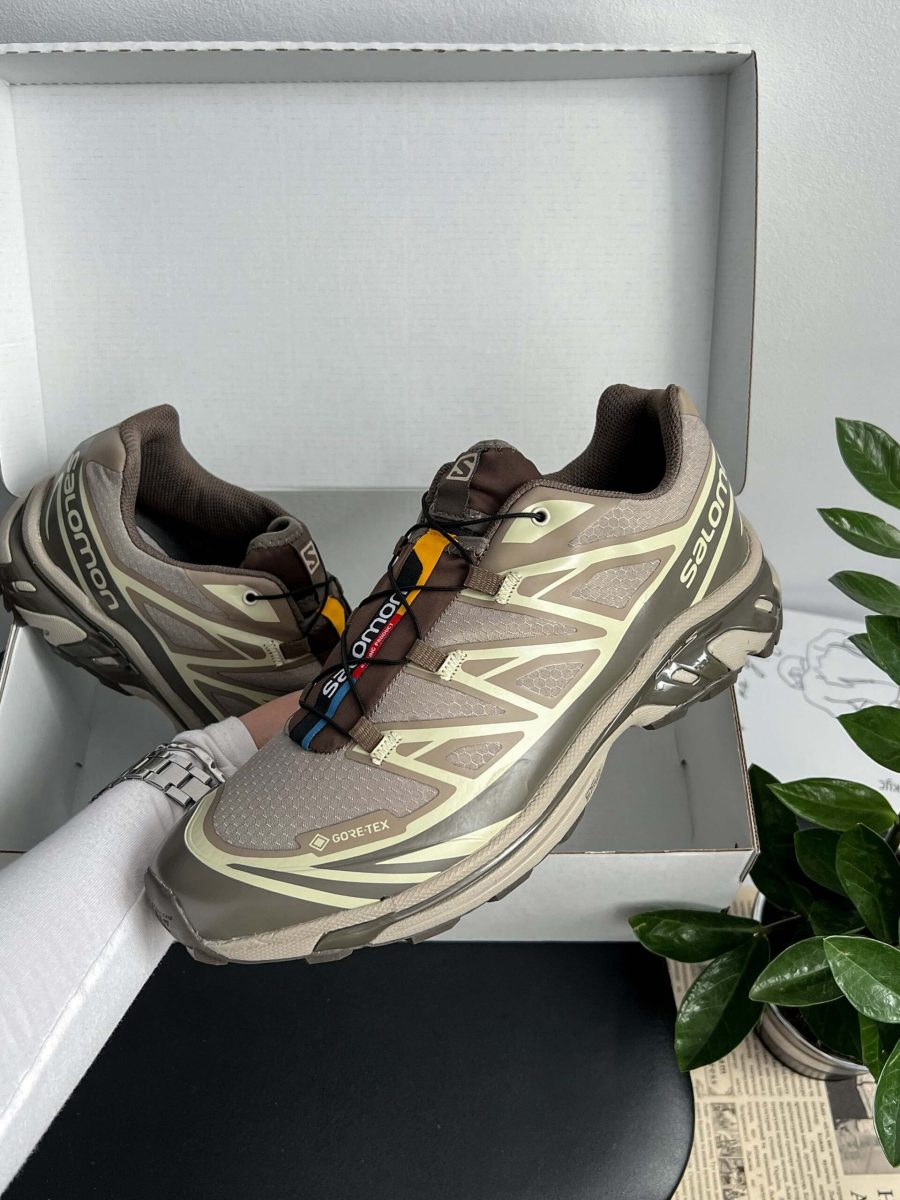 Кросівки Salomon XT-6 Gore-Tex Vintage Khaki