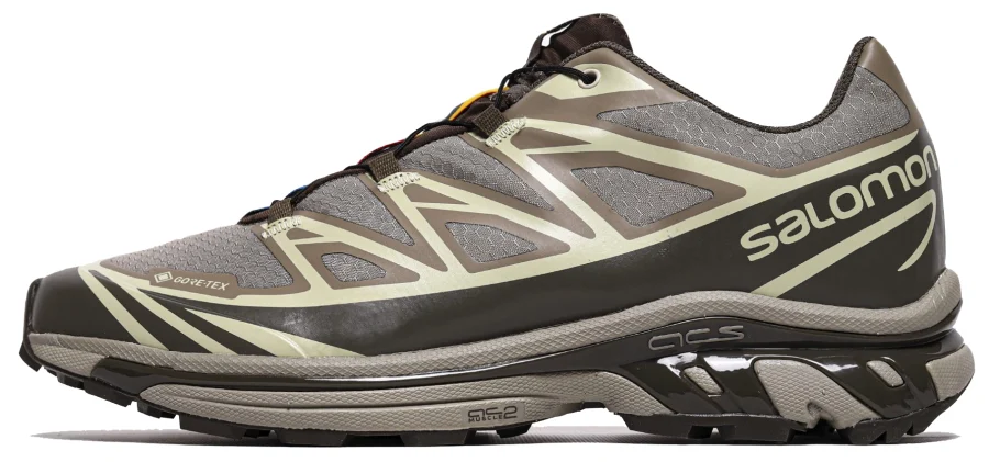 Кросівки Salomon XT-6 Gore-Tex Vintage Khaki